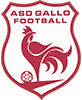 GALLO FOOTBALL A.S.D.