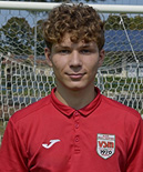 Calciatore Andrea GIARDINI - Centrocampista