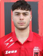 Calciatore Daniel SERFILIPPI - Centrocampista