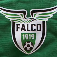 LA FALCO 1919 SPICCA IL VOLO: E' SECONDA CATEGORIA