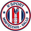 COPPA ITALIA. K-Sport Montecchio Gallo conquista la finale nazionale!